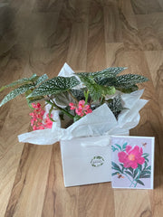 Botanical Bliss Gift Bundle