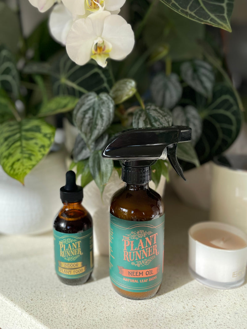 indoor plant oil Plant Runner Indoor Plant Food and Neem Oil Bundle